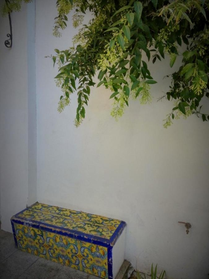 Apartment Alacas Sevilla Dış mekan fotoğraf