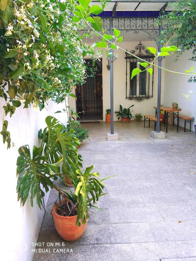 Apartment Alacas Sevilla Dış mekan fotoğraf