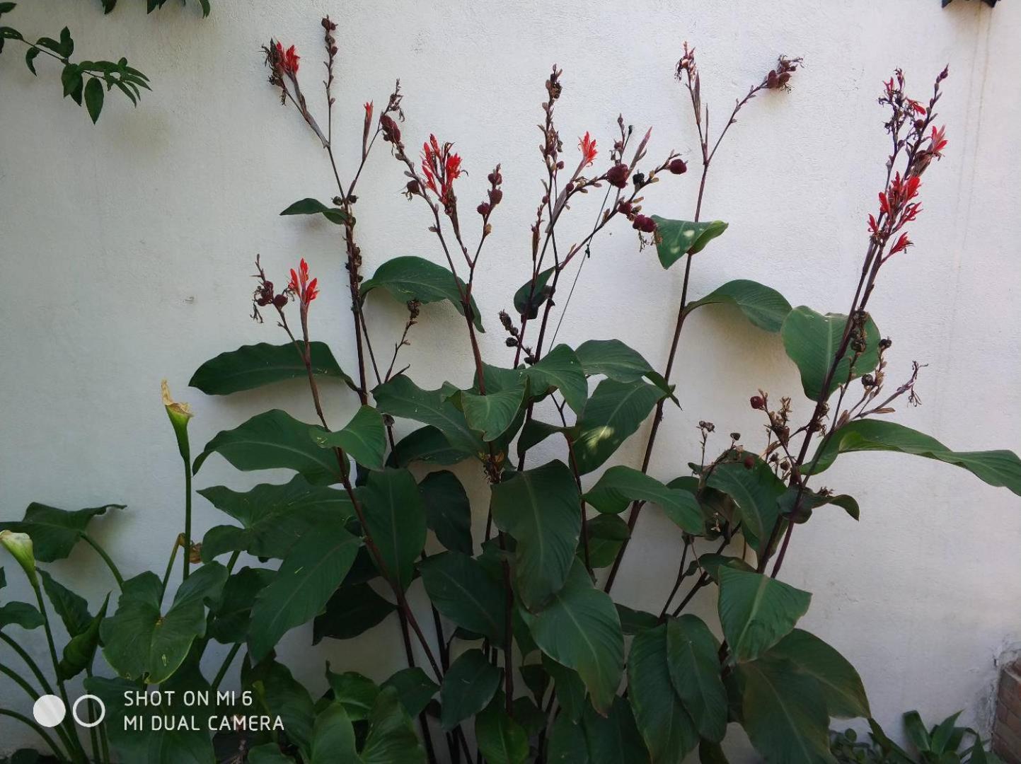 Apartment Alacas Sevilla Dış mekan fotoğraf