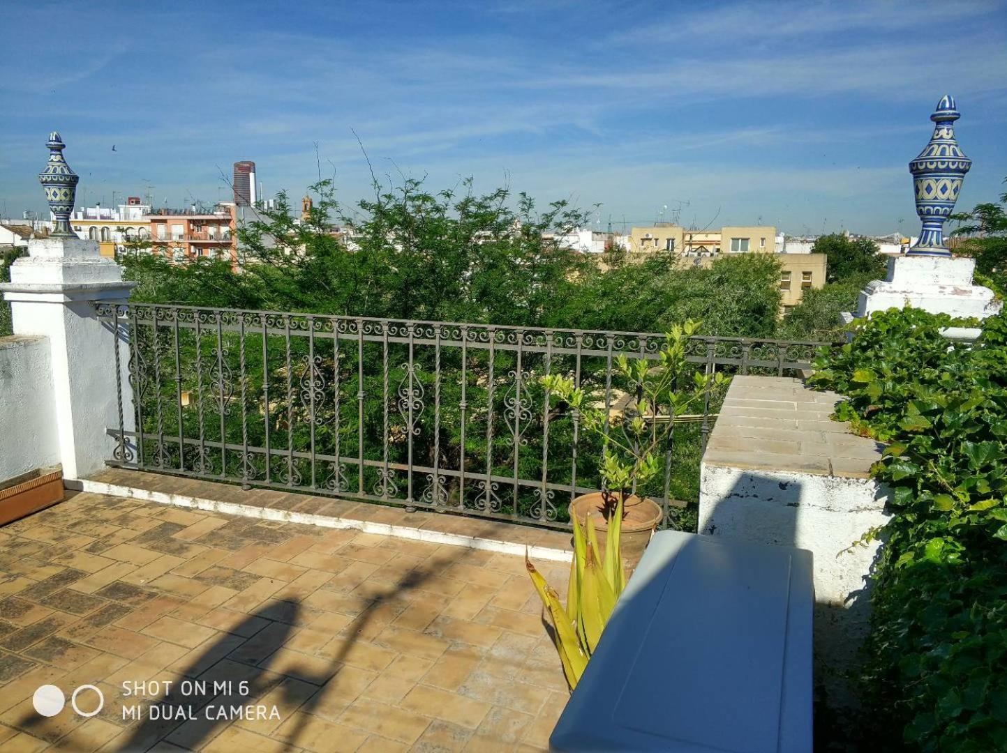 Apartment Alacas Sevilla Dış mekan fotoğraf
