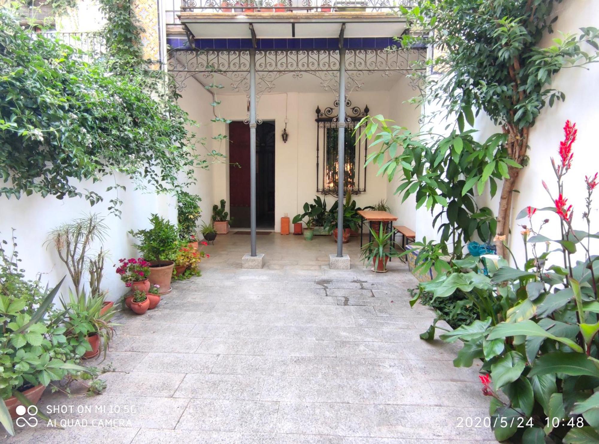 Apartment Alacas Sevilla Dış mekan fotoğraf